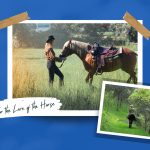 Horseback Riding and Mental Health