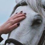 Riding a Tense Horse: Tips and Techniques for a Harmonious Ride