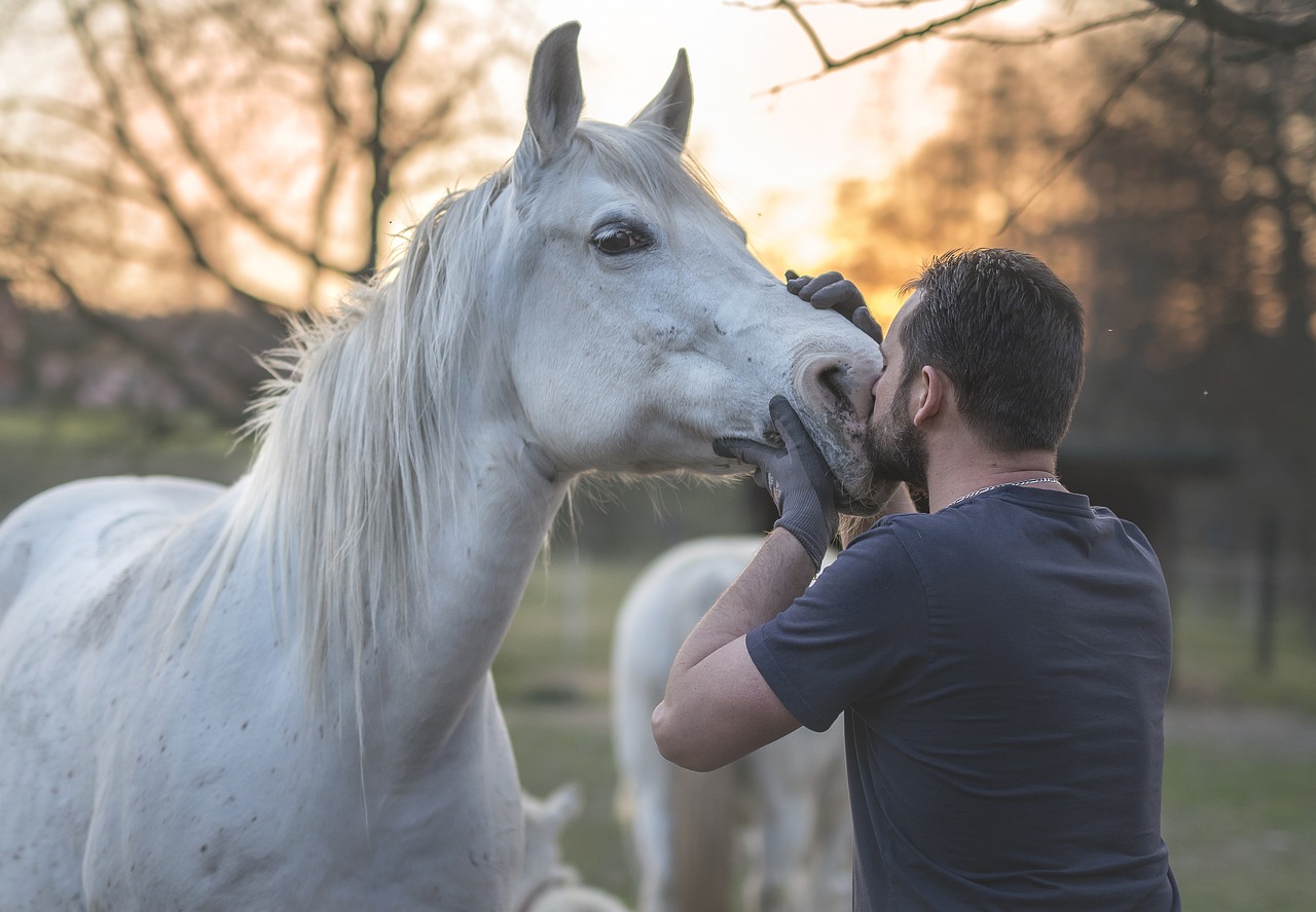 Learn to Recognize Your Horse’s Dental Problems